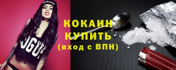 спиды Бикин