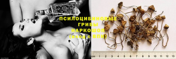 герыч Михайлов