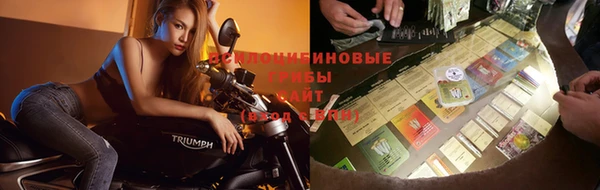 гидропоника Семёнов