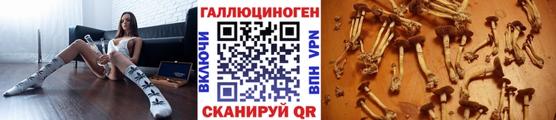купить наркоту  Сосновоборск  Галлюциногенные грибы MAGIC MUSHROOMS 