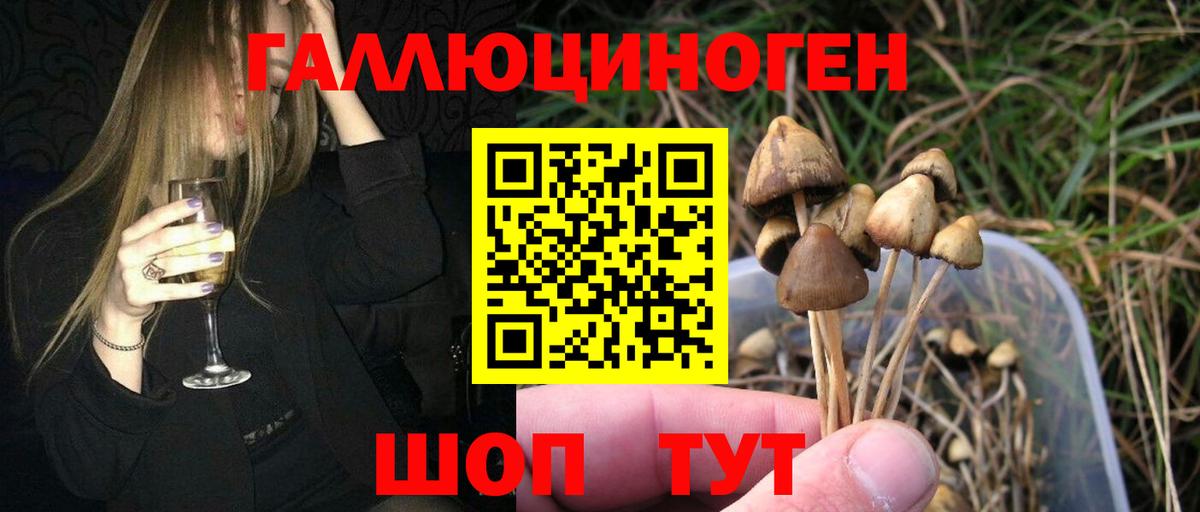 Псилоцибиновые грибы ЛСД  Сосновоборск 