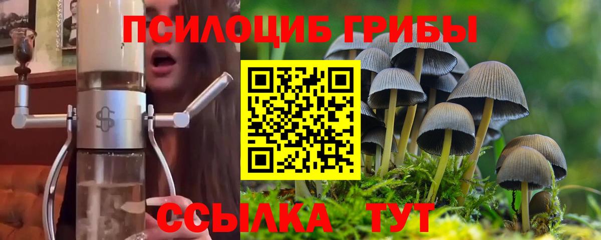 Псилоцибиновые грибы GOLDEN TEACHER  Вход с VPN  где купить наркоту  Сосновоборск  Галлюциногенные грибы Cubensis 